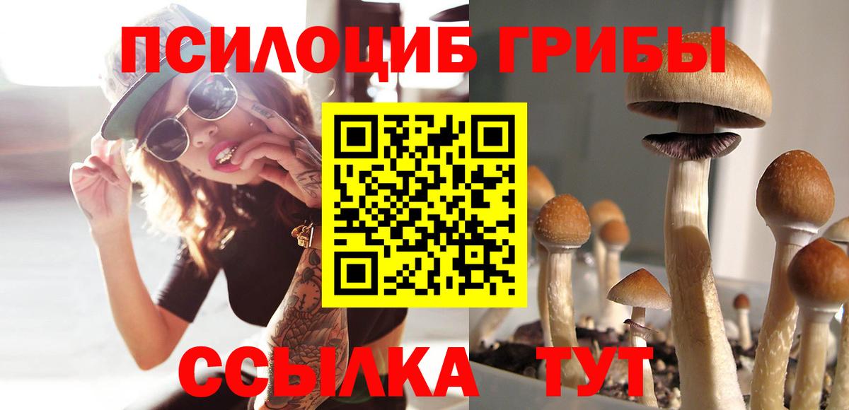 Галлюциногенные грибы Cubensis Нижнеудинск